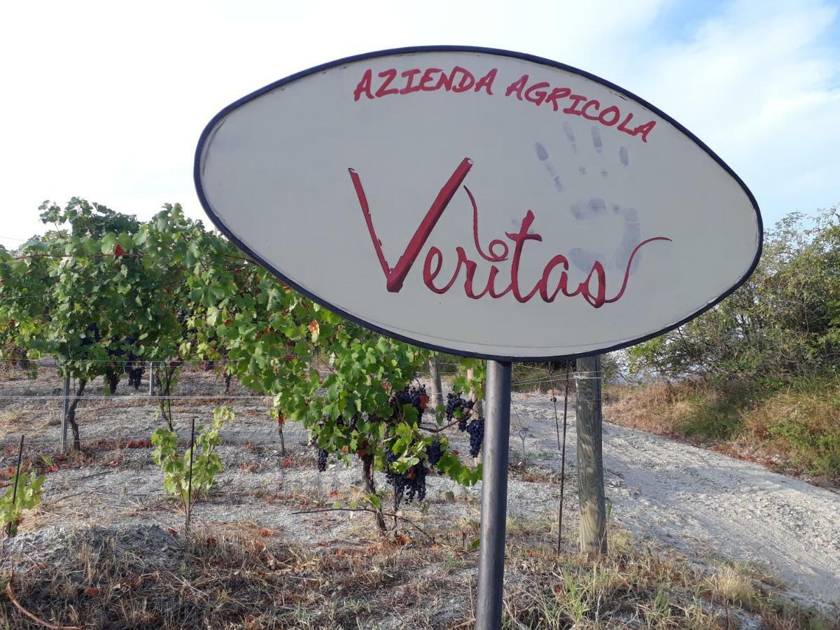 Agriturismo "Veritas" Bed & Wine Casaleggio Boiro Exterior photo